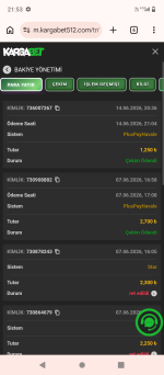 Screenshot_20260614-215354.png