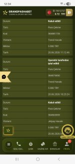 Screenshot_20260620_123418_Samsung Browser.jpg