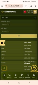 Screenshot_20260622-204603_Chrome.jpg