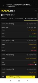 Screenshot_2026-06-25-18-46-15-715_com.android.chrome.jpg