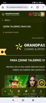 Screenshot_2026-06-29-03-46-26-796_com.android.chrome.jpg