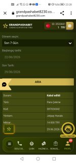 Screenshot_20260629_232857_com.android.chrome.jpg