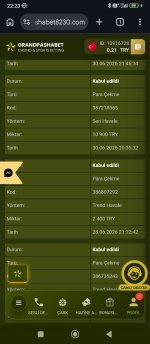 Screenshot_2026-06-30-22-23-27-122_com.android.chrome.jpg