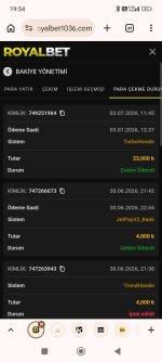 Screenshot_2026-07-03-19-54-03-542_com.android.chrome.jpg