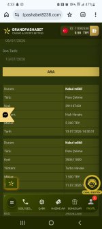 Screenshot_20260713-163326_Chrome.jpg