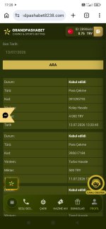 Screenshot_2026-07-13-17-20-52-880_com.android.chrome.jpg