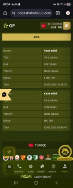 Screenshot_20260714_013426_Chrome.jpg