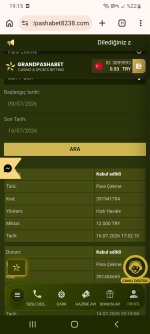 Screenshot_20260716-191521_Chrome.jpg