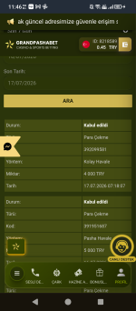 Screenshot_20260717-114629.png