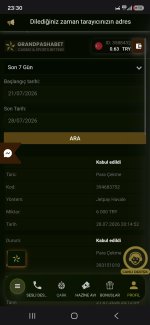 Screenshot_20260728_233024_Samsung Browser.jpg