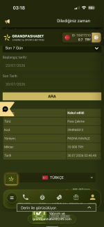 IMG_3941.png