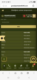 Screenshot_20260804_234713_Samsung Browser.jpg