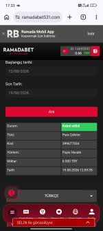 Screenshot_2026-08-19-17-33-59-499_com.android.chrome.jpg