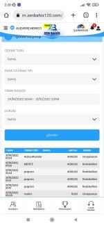 Screenshot_2022-10-21-02-28-15-185_com.android.chrome.jpg