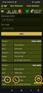 Screenshot_2022-10-25-20-36-18-397_com.microsoft.emmx.jpg