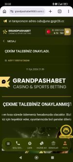 Screenshot_2026-09-11-23-32-21-412_com.android.chrome.jpg