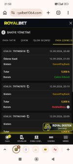 Screenshot_2026-09-12-21-53-53-636_com.android.chrome.jpg