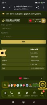 Screenshot_2026-09-13-23-15-17-048_com.android.chrome.jpg