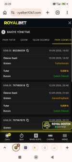 Screenshot_2026-09-19-20-29-03-939_com.android.chrome.jpg