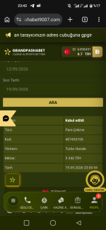 Screenshot_20260919-234230.png