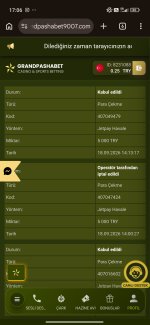 Screenshot_2026-09-18-17-06-13-976_com.android.chrome.jpg