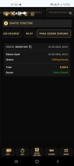 Screenshot_20260923-013339_Chrome.jpg