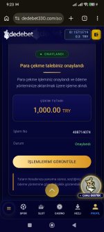 1000049384.jpg
