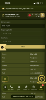 IMG_0380.png