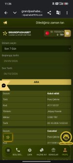 Screenshot_2026-10-06-11-36-02-060_com.android.chrome.jpg