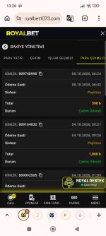 Screenshot_2026-10-06-13-26-31-651_com.android.chrome.jpg