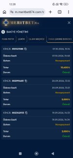Screenshot_2026-10-08-12-28-53-523_com.android.chrome.jpg