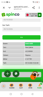 Screenshot_20261009-111011.png