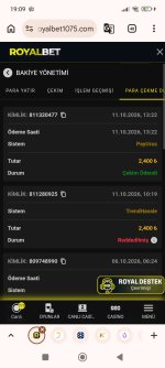 Screenshot_2026-10-11-19-09-08-524_com.android.chrome.jpg