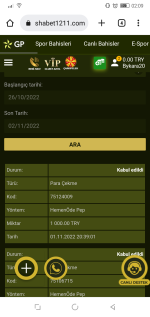 Screenshot_20221102-020940.png