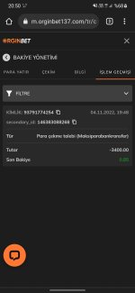 Screenshot_20221104-205034_Chrome Beta.jpg