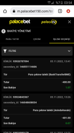 Screenshot_2022-11-06-03-54-59.png