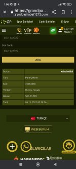 Screenshot_2022-11-09-01-06-23-228_com.android.chrome.jpg