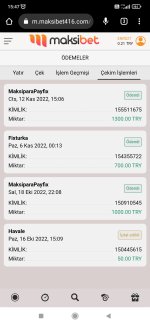 Screenshot_2022-11-12-15-47-30-636_com.android.chrome.jpg