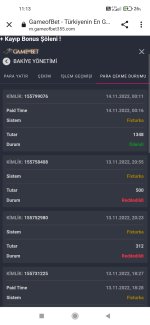 Screenshot_2022-11-14-11-13-26-756_com.android.chrome.jpg