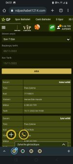 Screenshot_20221115-045143_Chrome.jpg