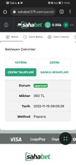 Screenshot_20221119_130231_com.android.chrome.jpg