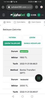 Screenshot_20221122_115543_com.android.chrome.jpg