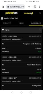 Screenshot_20221122_155106_com.android.chrome.jpg