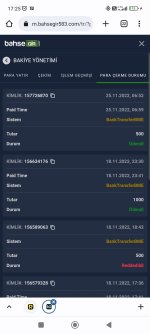 Screenshot_2022-11-25-17-25-33-504_com.android.chrome.jpg