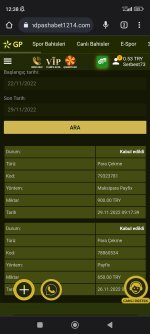 Screenshot_2022-11-29-12-38-41-395_com.android.chrome.jpg