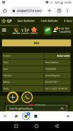 Screenshot_20221129-163035.png