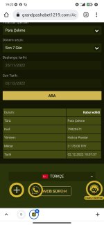 Screenshot_2022-12-02-19-22-55-049_com.android.chrome.jpg
