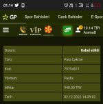 Screenshot_20221203-011424.jpg