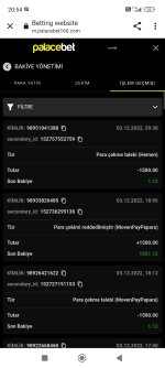Screenshot_2022-12-03-20-54-00-837_com.android.chrome.jpg