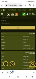Screenshot_2022-12-04-13-56-43-225_com.android.chrome.jpg